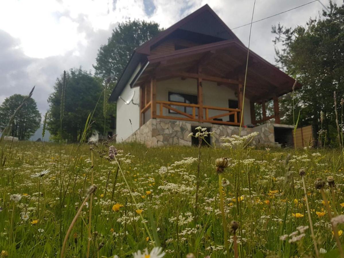 Eco Village Highlander Zabljak  Bagian luar foto
